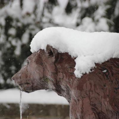 Chevelure de neige sur l'un des ours de la fontaine.