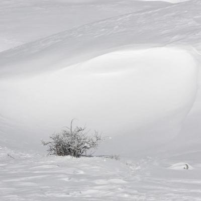 JRob neige-hiver-2