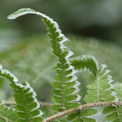 069a7258 redimensionner