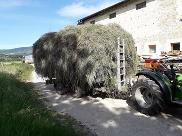 transport du foin