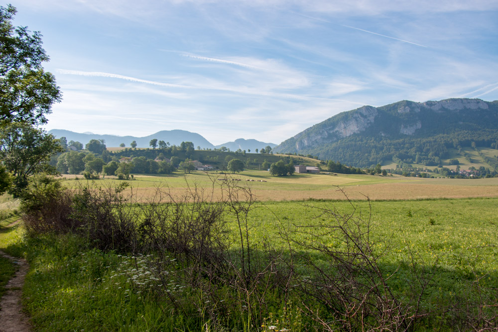 Plaine des Bernards