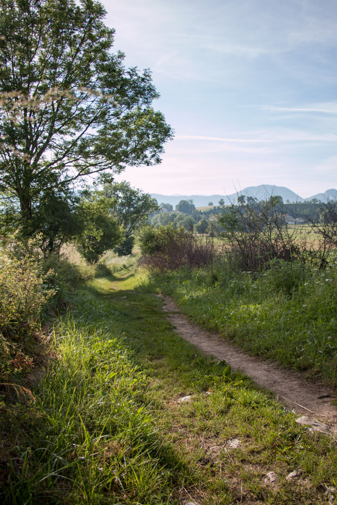 De très beaux chemins grâce aux bénévoles...