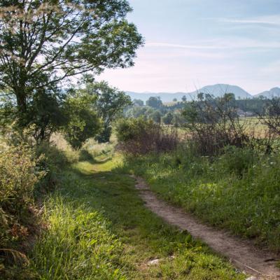 De très beaux chemins grâce aux bénévoles...