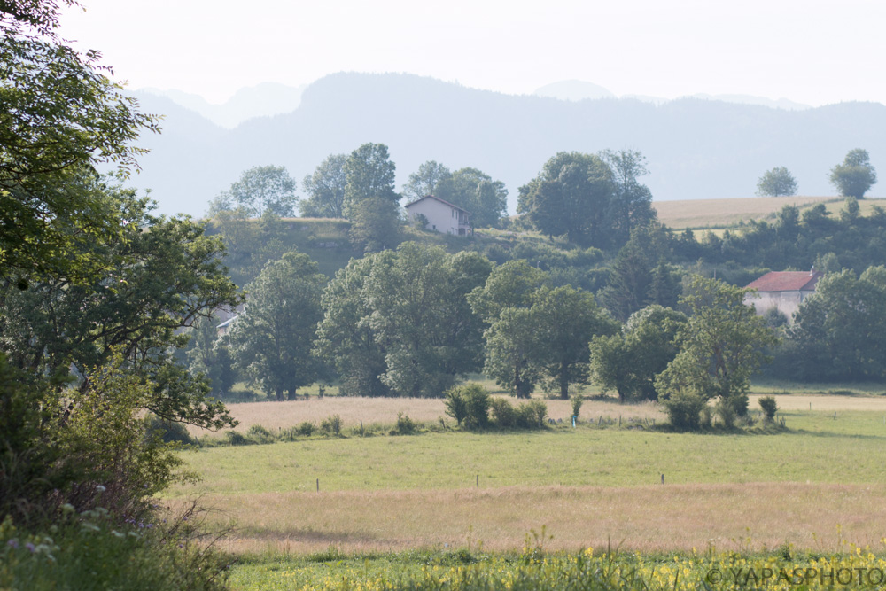 Plaine des Bernards