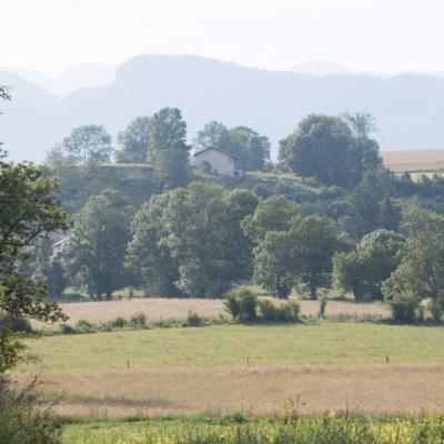 Plaine des Bernards