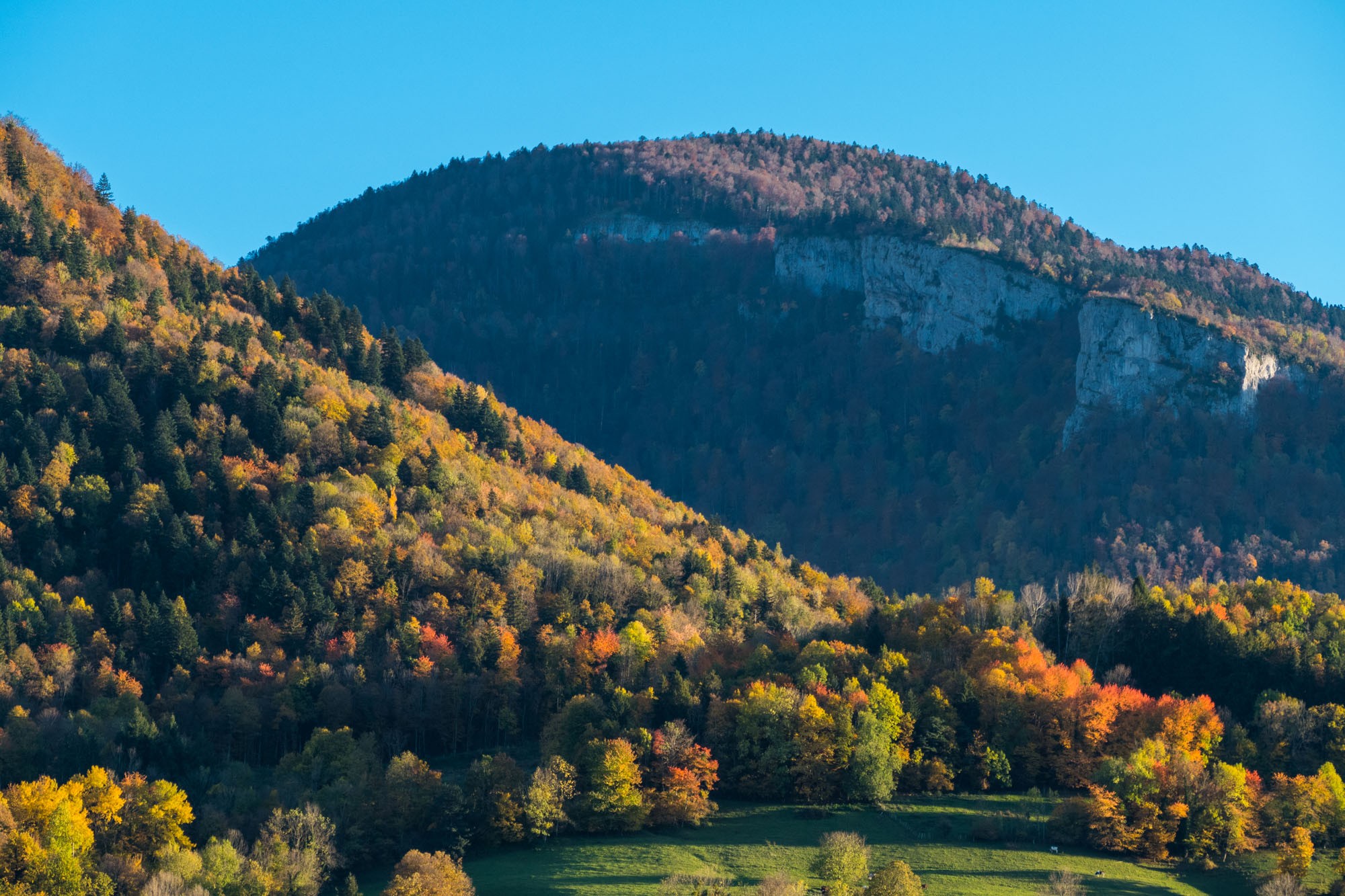 5 autumn small par thierry l