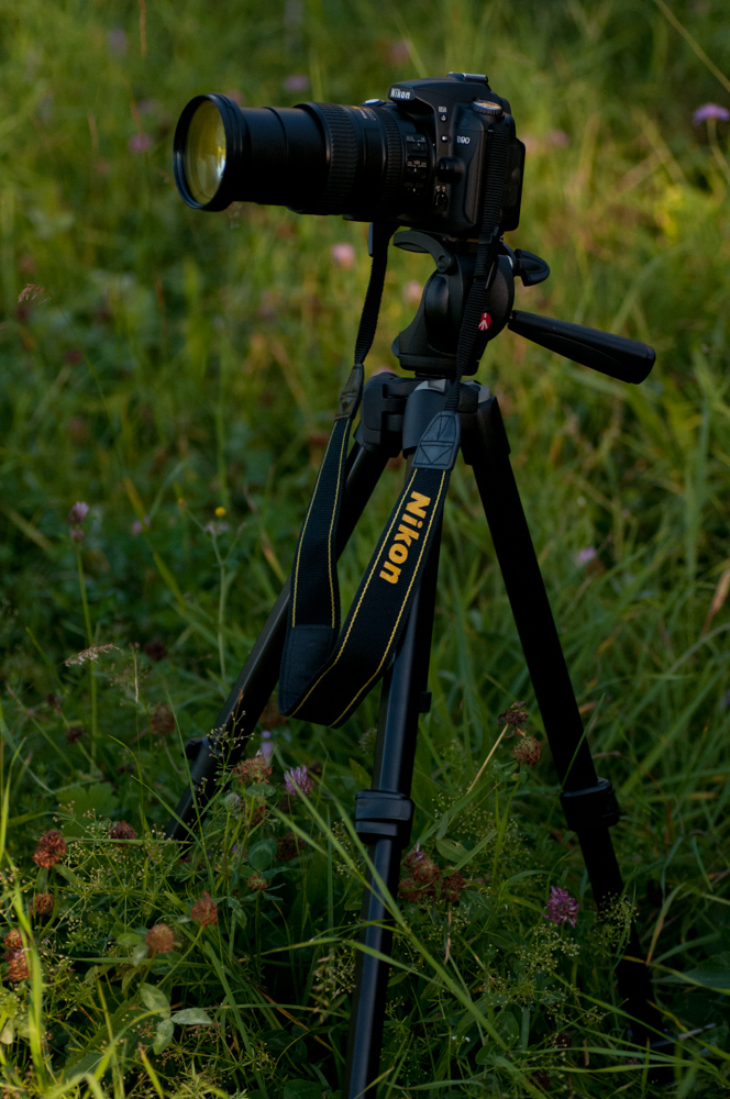 Nikon D300