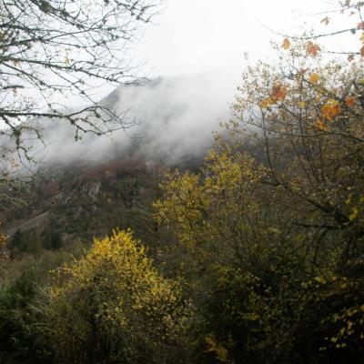 Alexis 2790 par gerard g