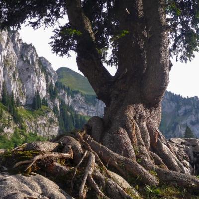 je m'accroche dans les Pyrénées