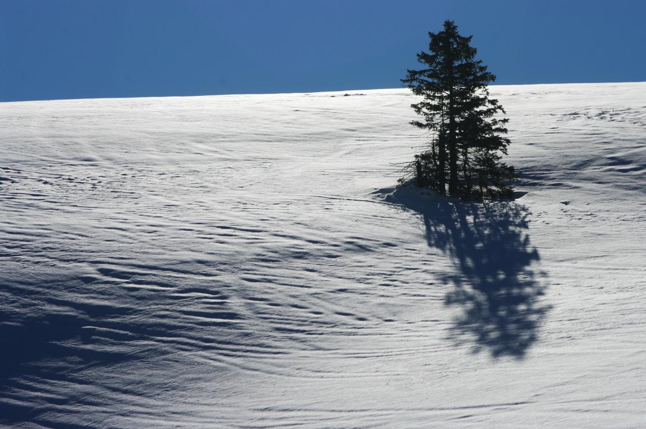 jeu d'ombres et de lumière