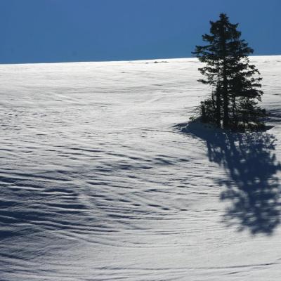 jeu d'ombres et de lumière