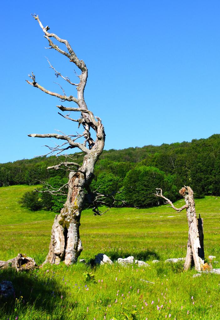 au-revoir les amis du plateau d'Ambel