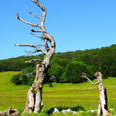 au-revoir les amis du plateau d'Ambel