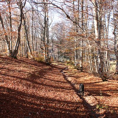 Automne 2013 à Vassieux 