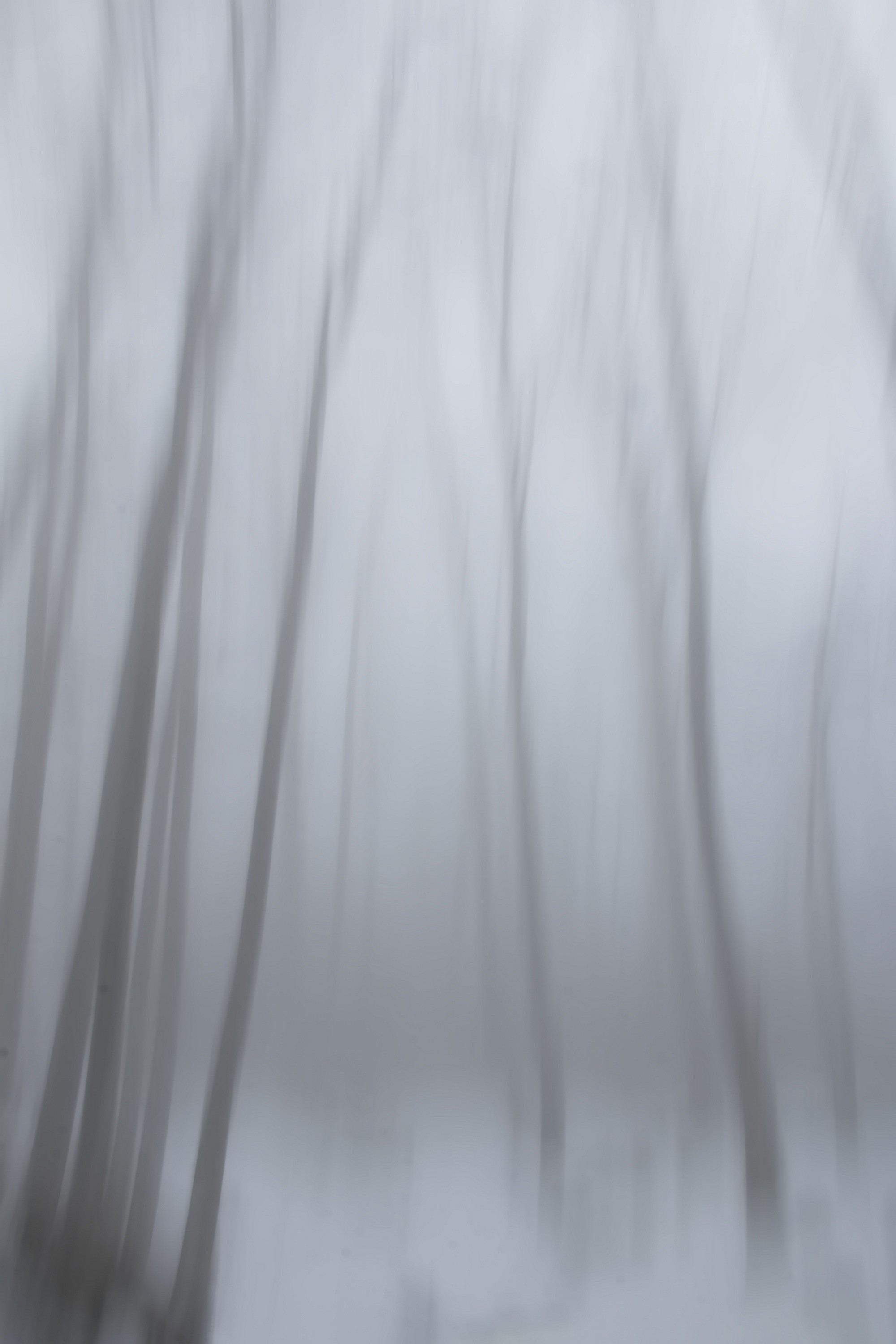 Brume par jean yves g