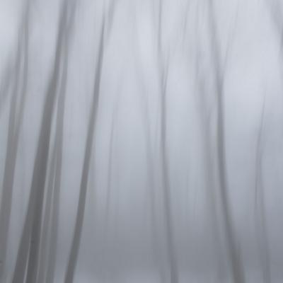 Brume par jean yves g