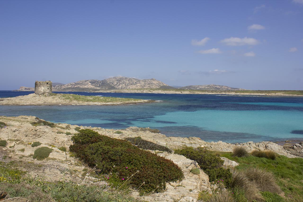 cap de falcone