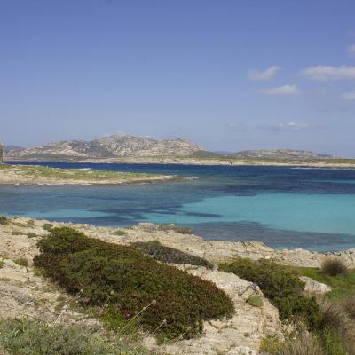 cap de falcone