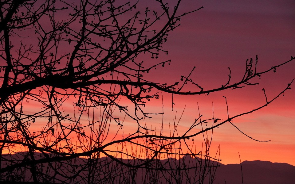 Cb contre jour arbre 