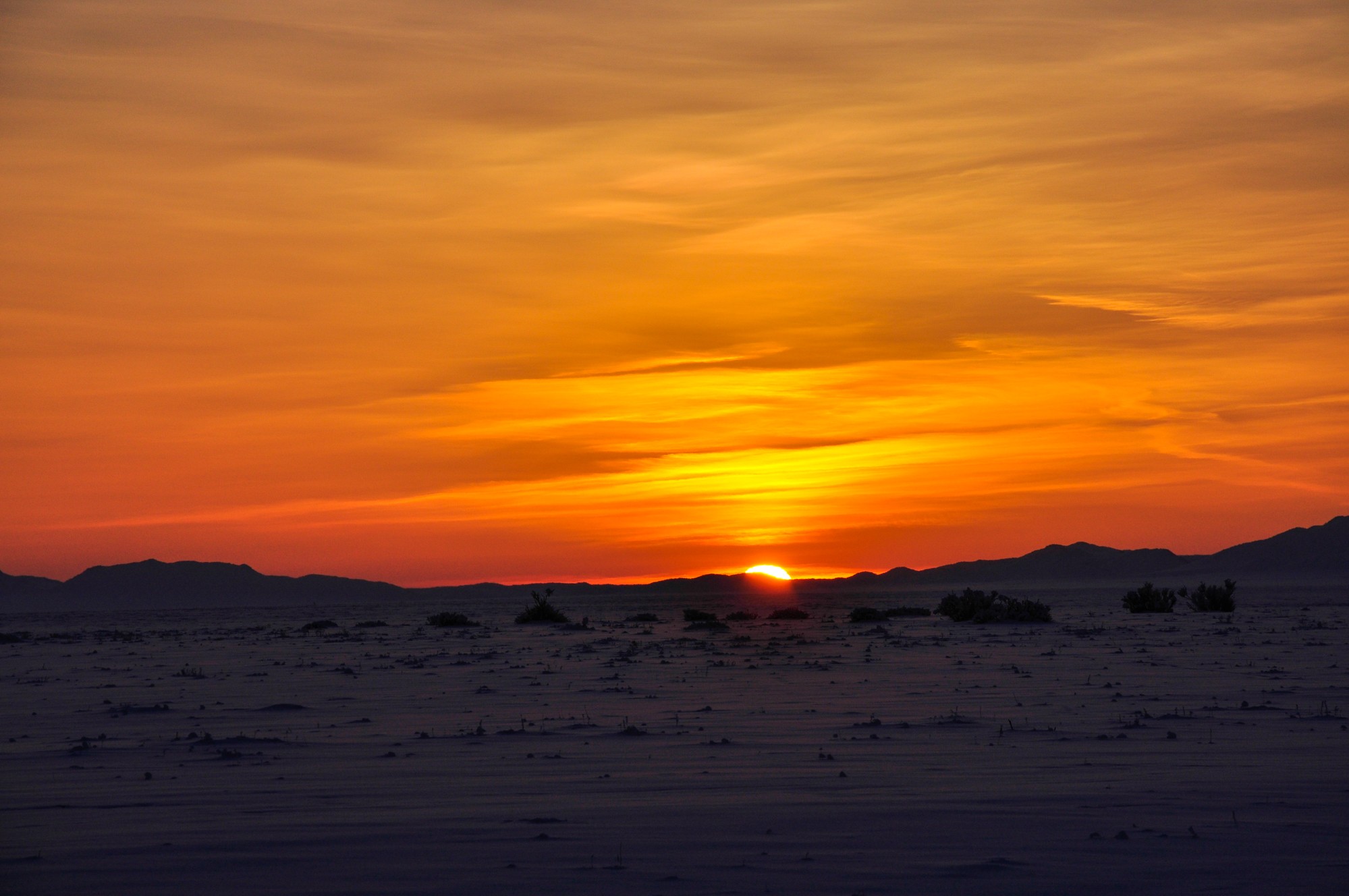 sur la steppe