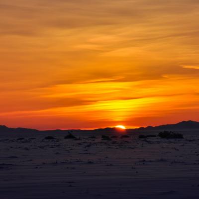 sur la steppe