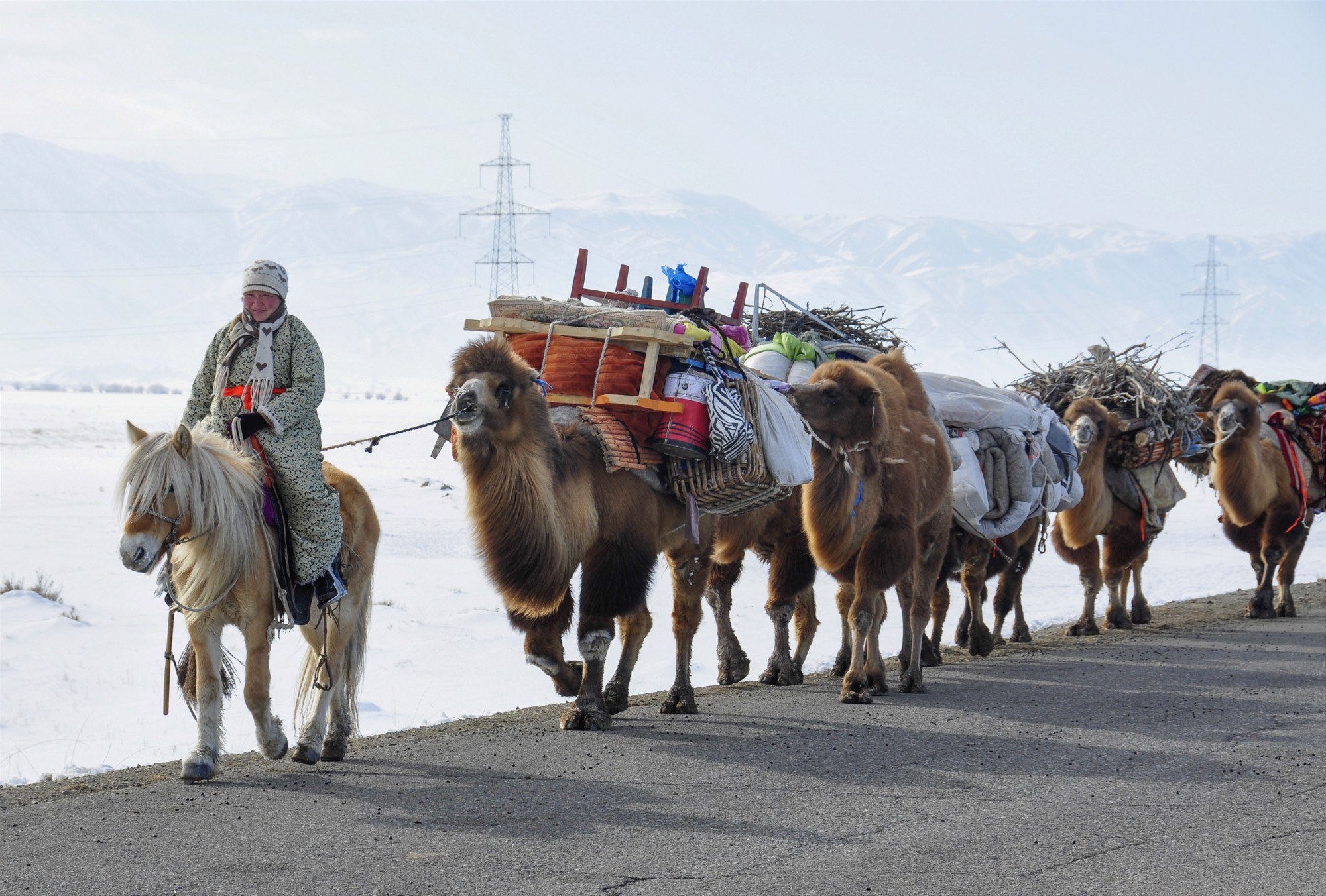 transhumance de printemps