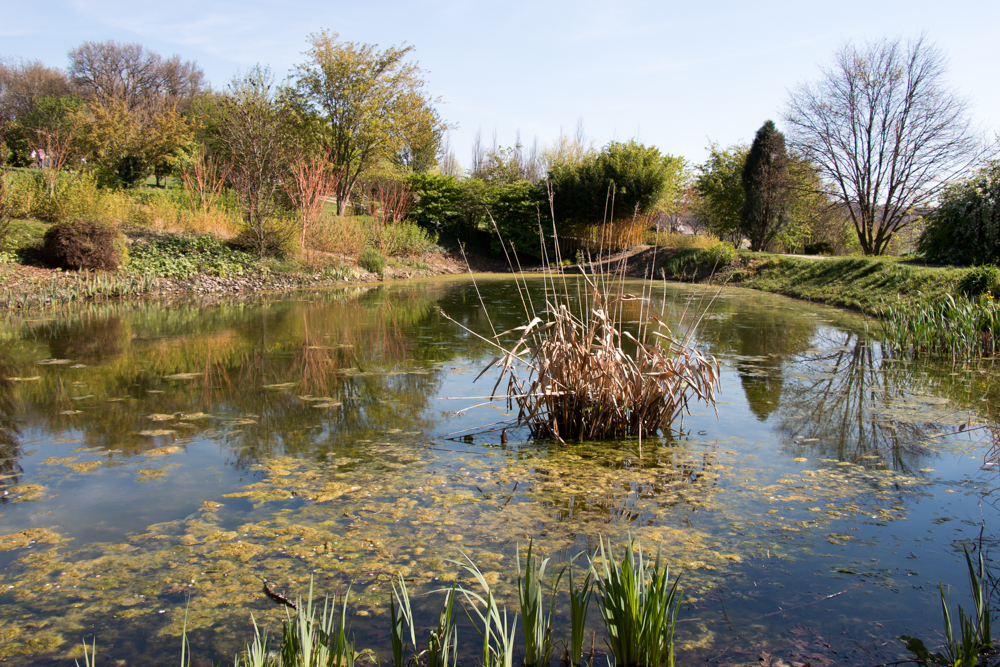 Jardin du Bois Marquis