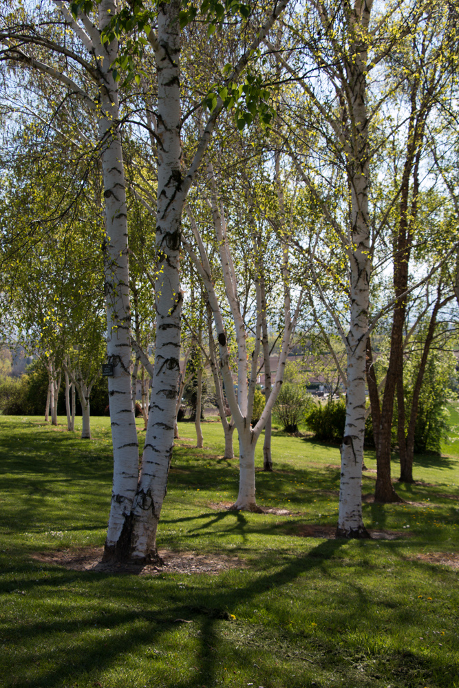 Jardin du Bois Marquis