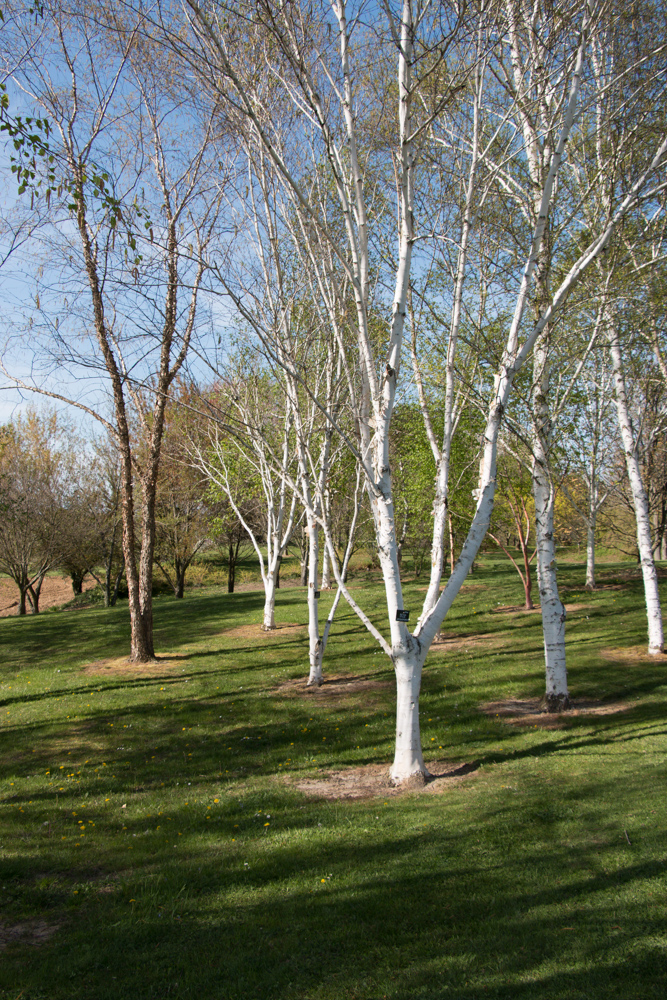 Jardin du Bois Marquis