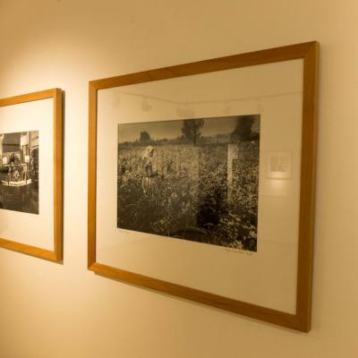 Expo à la Maison du patrimoine