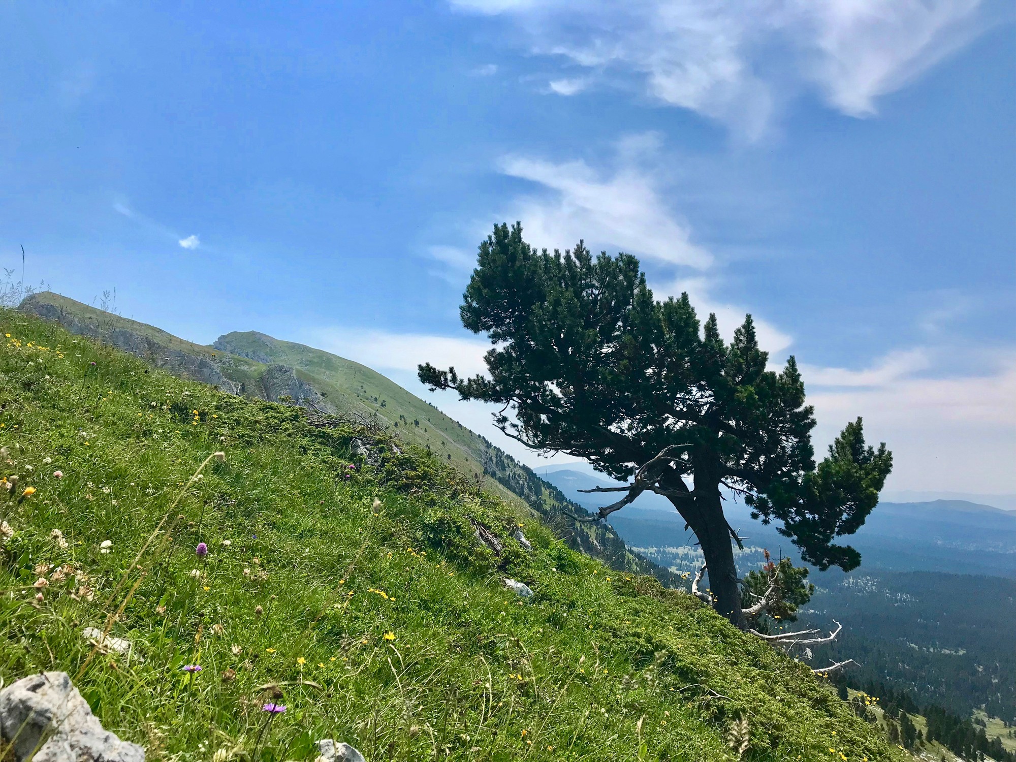 Crête de rocheherbe