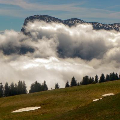 Depuis la molière