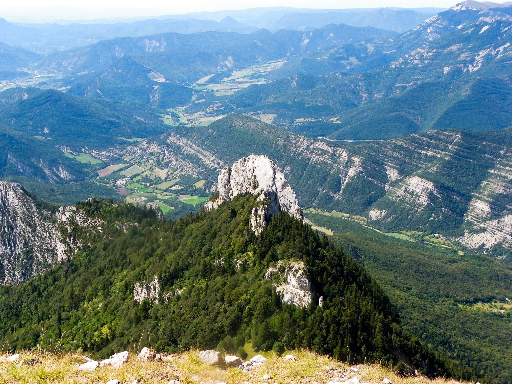Depuis le glandas