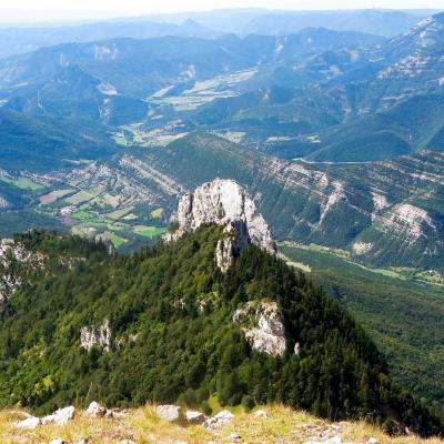 Depuis le glandas