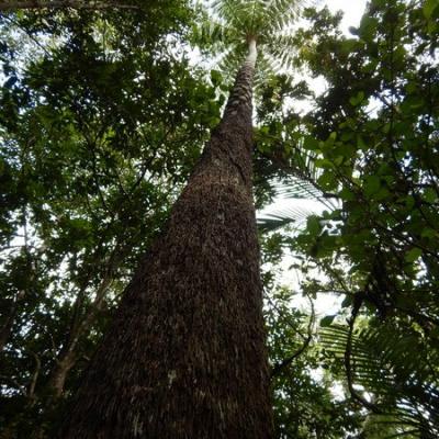 Dscn0211 redimensionner