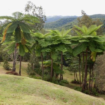 Dscn0216 redimensionner