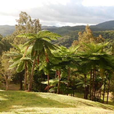 Dscn0221 redimensionner