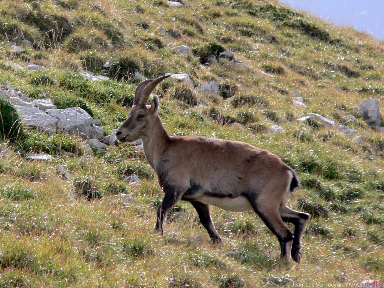 étagne au pas de Bériève