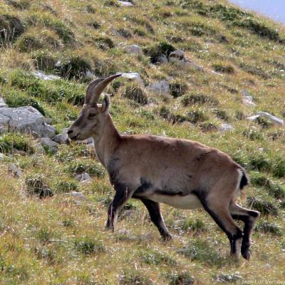 étagne au pas de Bériève