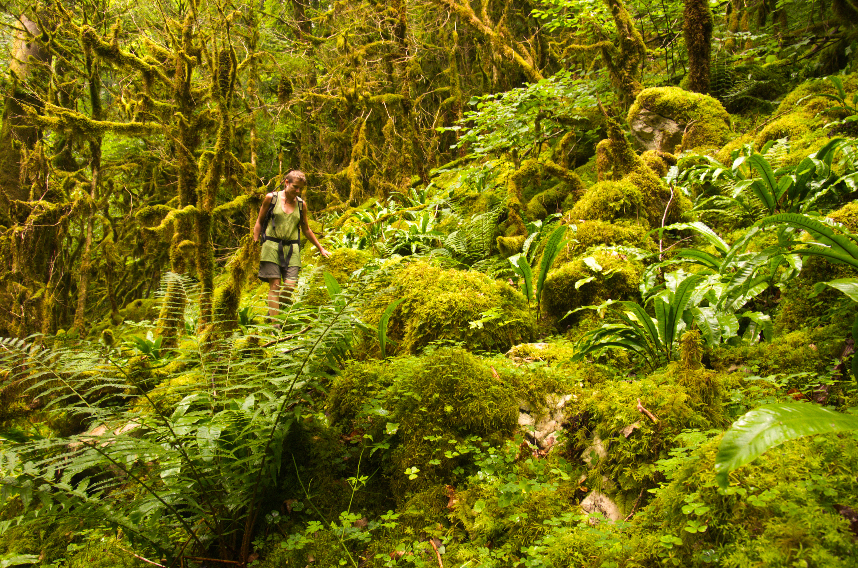 gorges de la lyonne