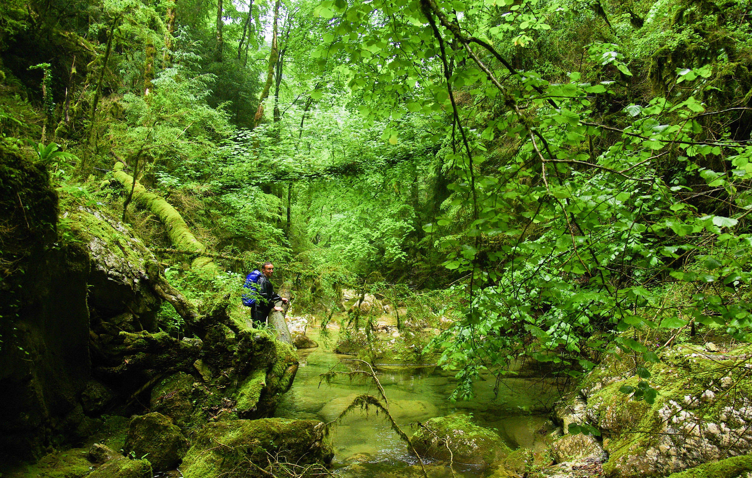 Gorges de la lyonne