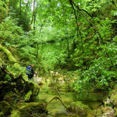 Gorges de la lyonne