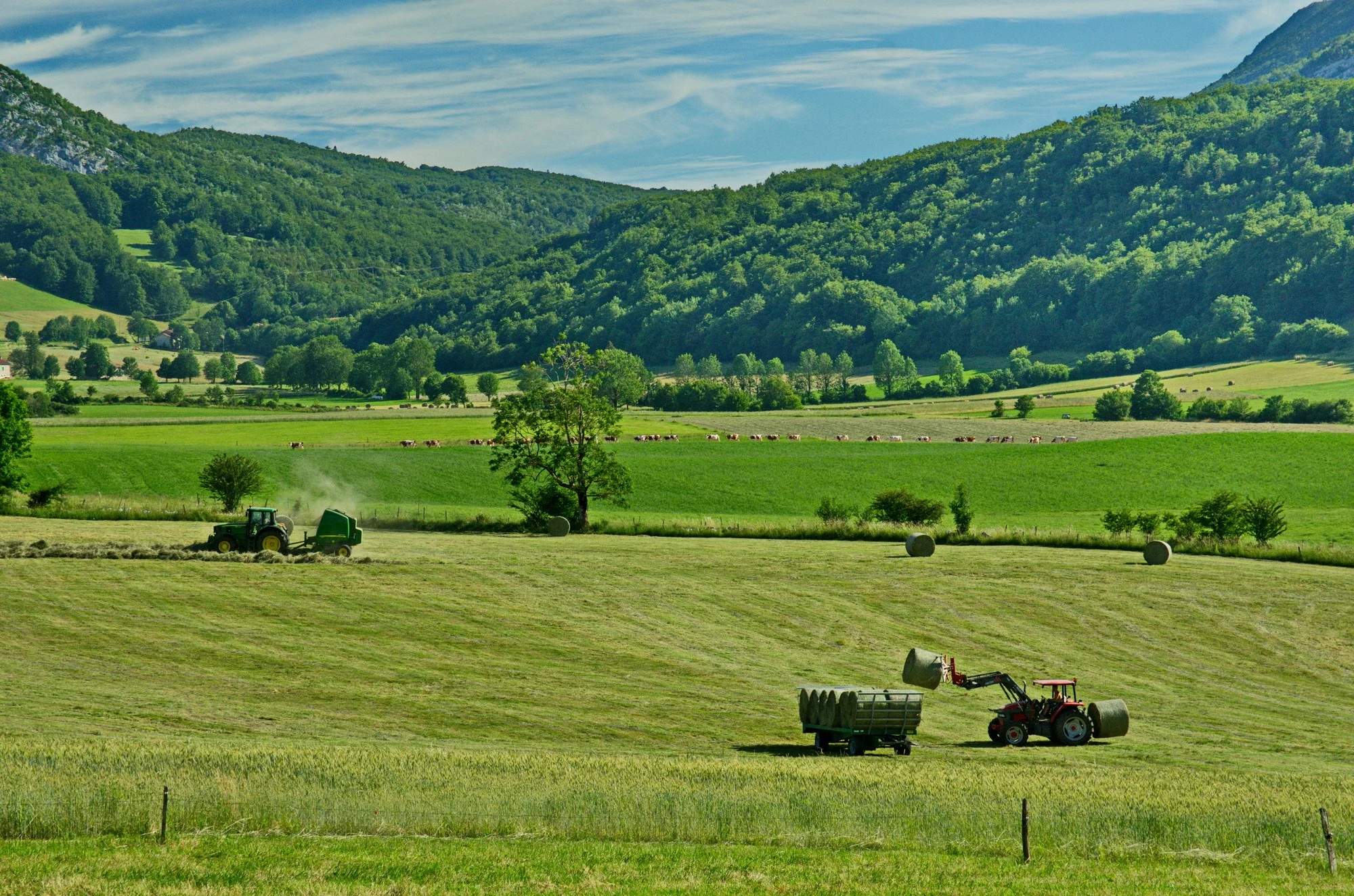 Ec moisson aux bernards 1 redimensionner