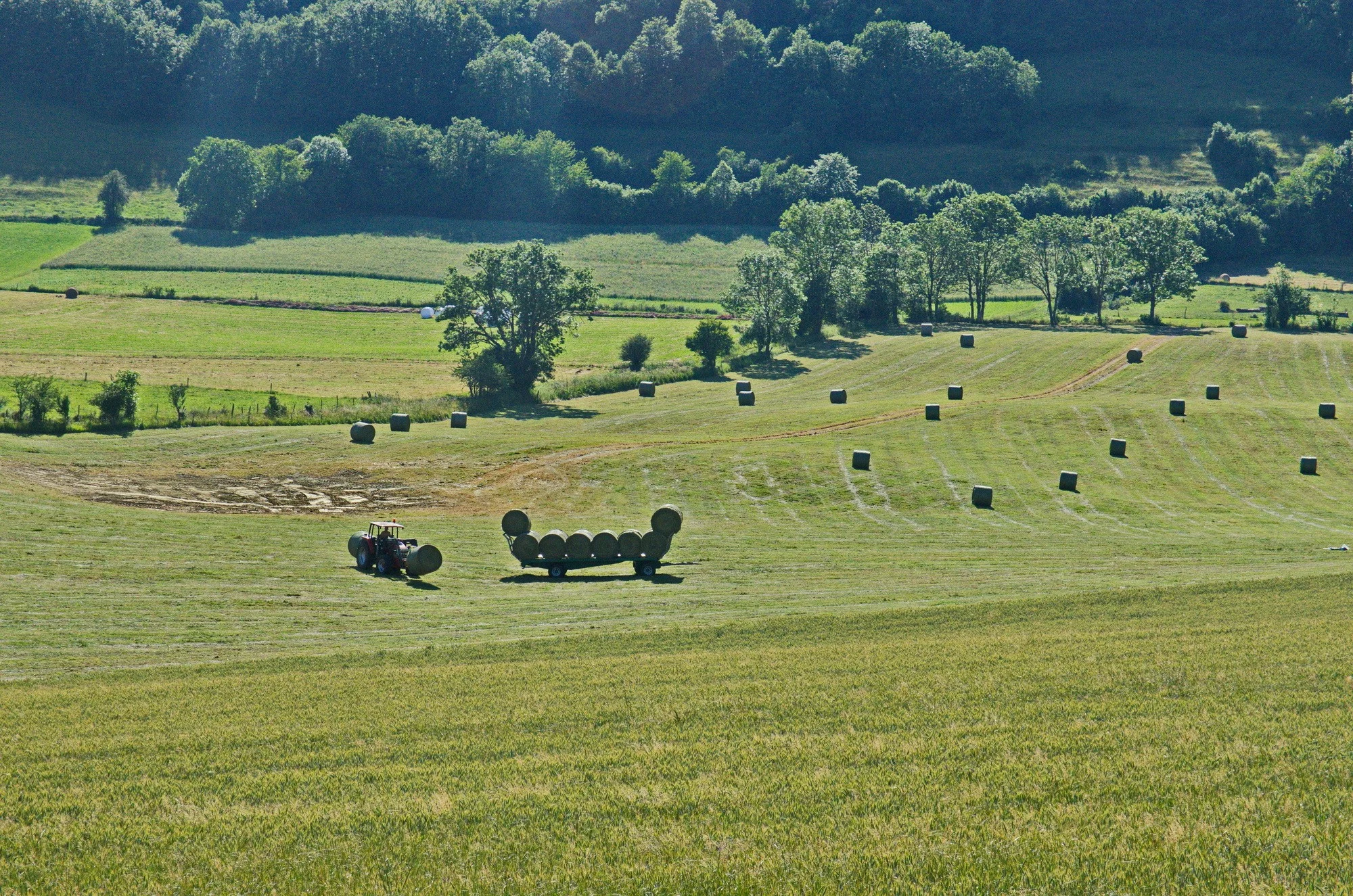 Ec moisson aux bernards 2 redimensionner