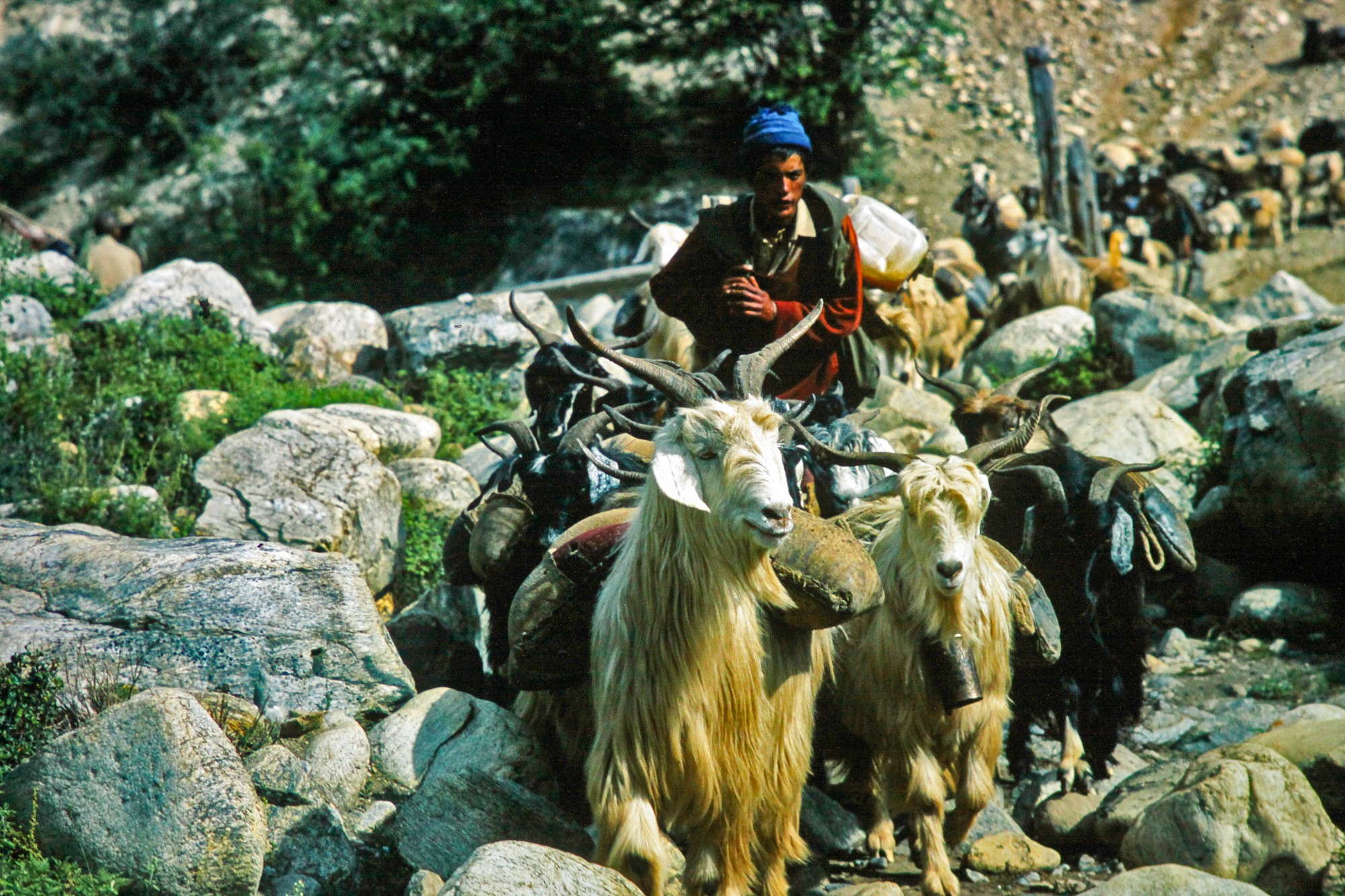 nepal karnali