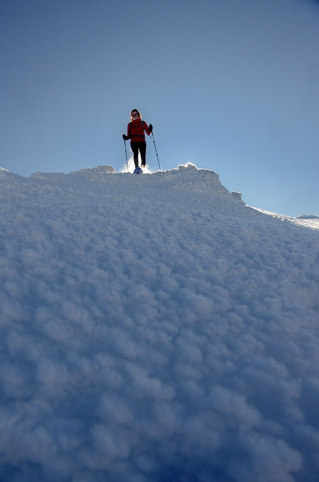 paysages d'hiver