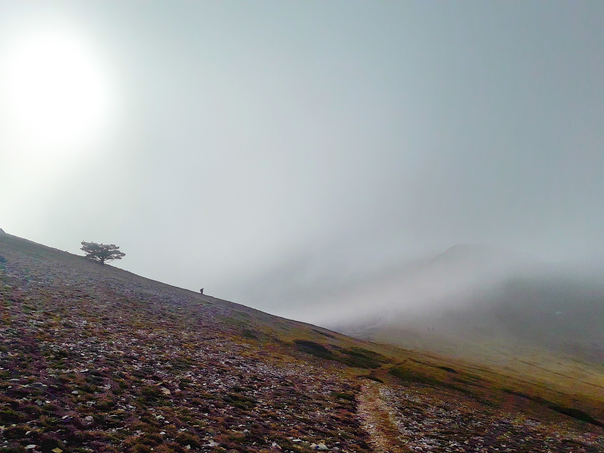 plateau de beurre