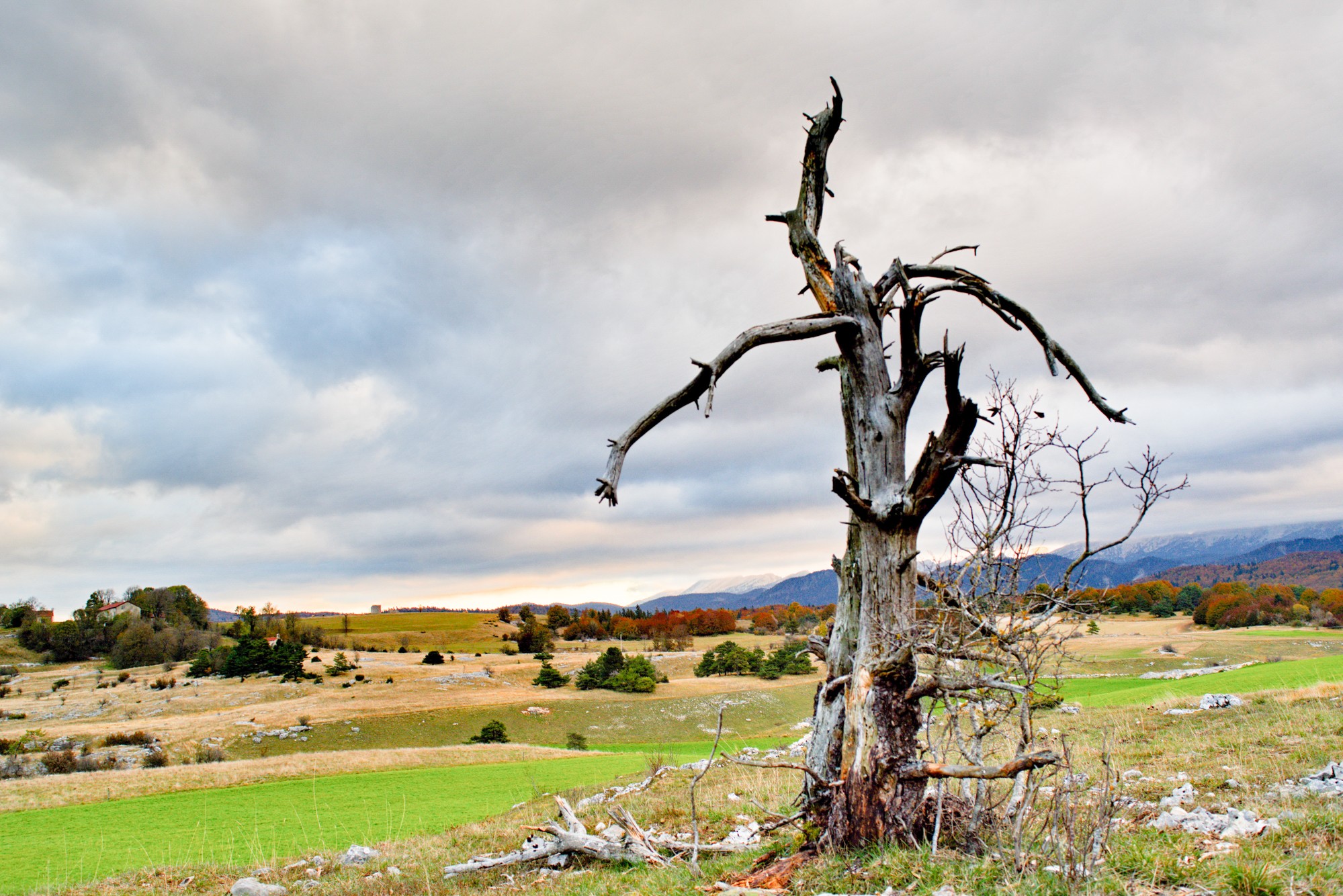 vassieux automne