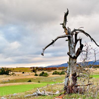 vassieux automne