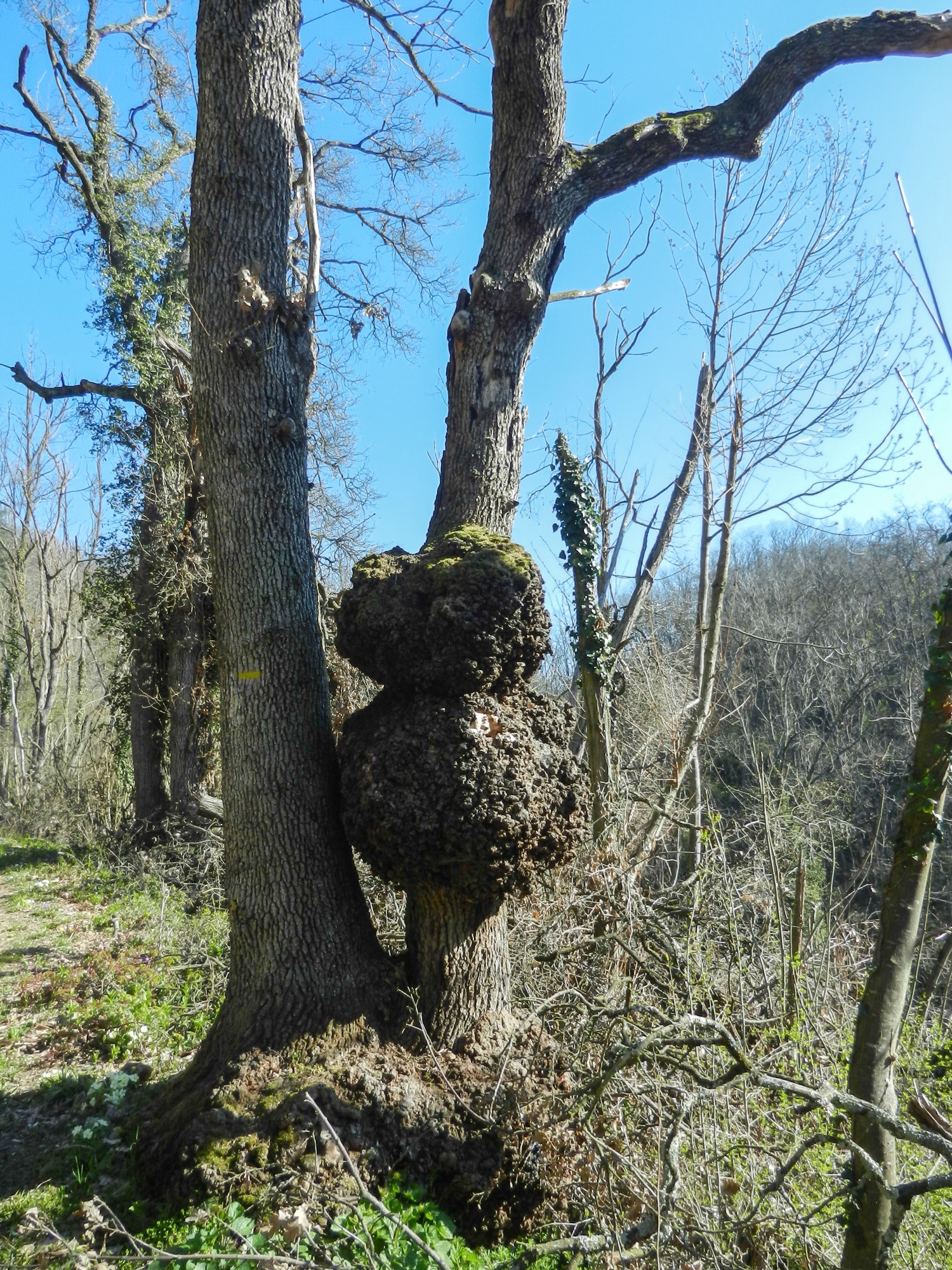 Erome drôme